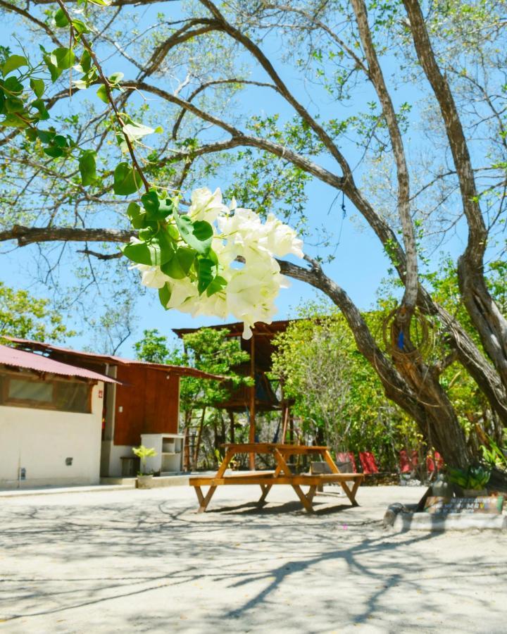 Skycamp Camping Holbox Eksteriør bilde